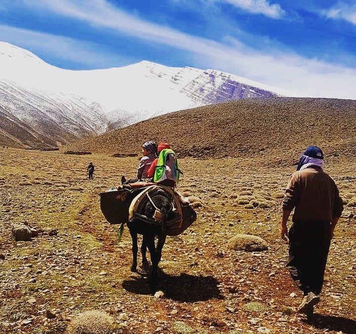 Maroc : Pour un visa écologique au Maroc